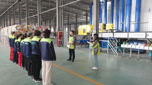 东营市利津县 因地制宜探索创新 盐碱地变身 新粮仓