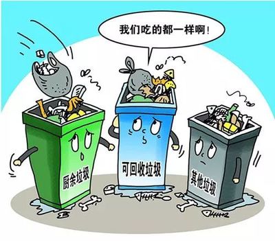 “满了!满了!”垃圾困局步步紧逼